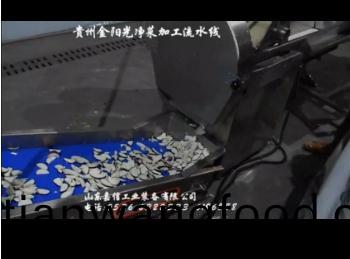 貴(gui)州(zhou)金(jin)陽光(guang)淨(jìng)菜加(jia)工(gong)流(liu)水線(xian)