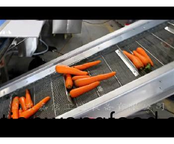 鬍(hu)蘿(luo)蔔(bo)清(qing)洗切(qie)片(pian)脫(tuo)水 