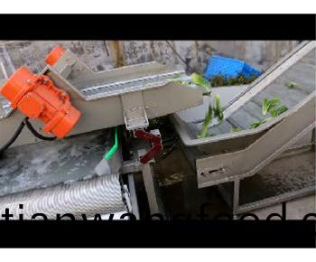  嘉信油菜(cai)清洗視頻(pin)