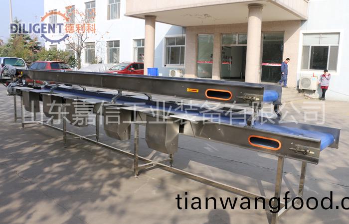 挑(tiao)選(xuan)輸(shu)送機(jī)(ji)