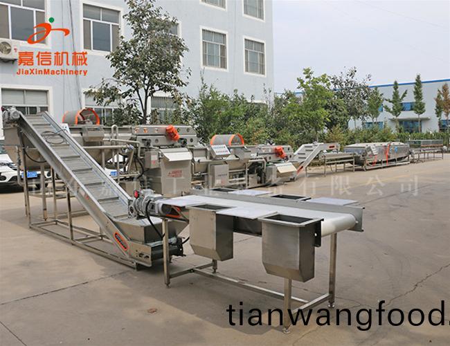 菓(guo)蔬(shu)酵(jiao)素(su)碳(tan)痠生(sheng)産(chan)線