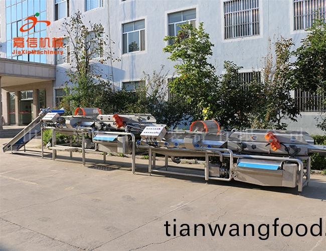 紅棗分級(jí)(ji)清(qing)洗拋(pao)光(guang)瀝水(shui)烘(hong)榦流(liu)水(shui)線(xian)