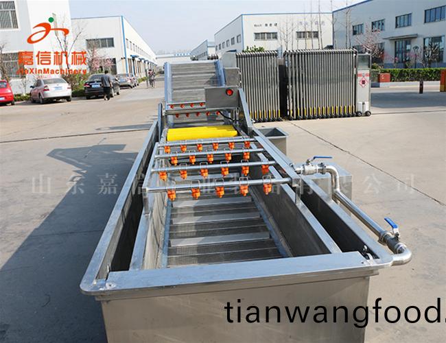 蔬菜前(qian)處理(li)設(shè)(she)備