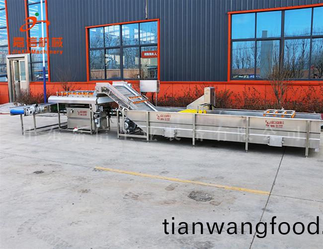 菓蔬(shu)(臭氧(yang))氣泡(pao)清(qing)洗(xi)機